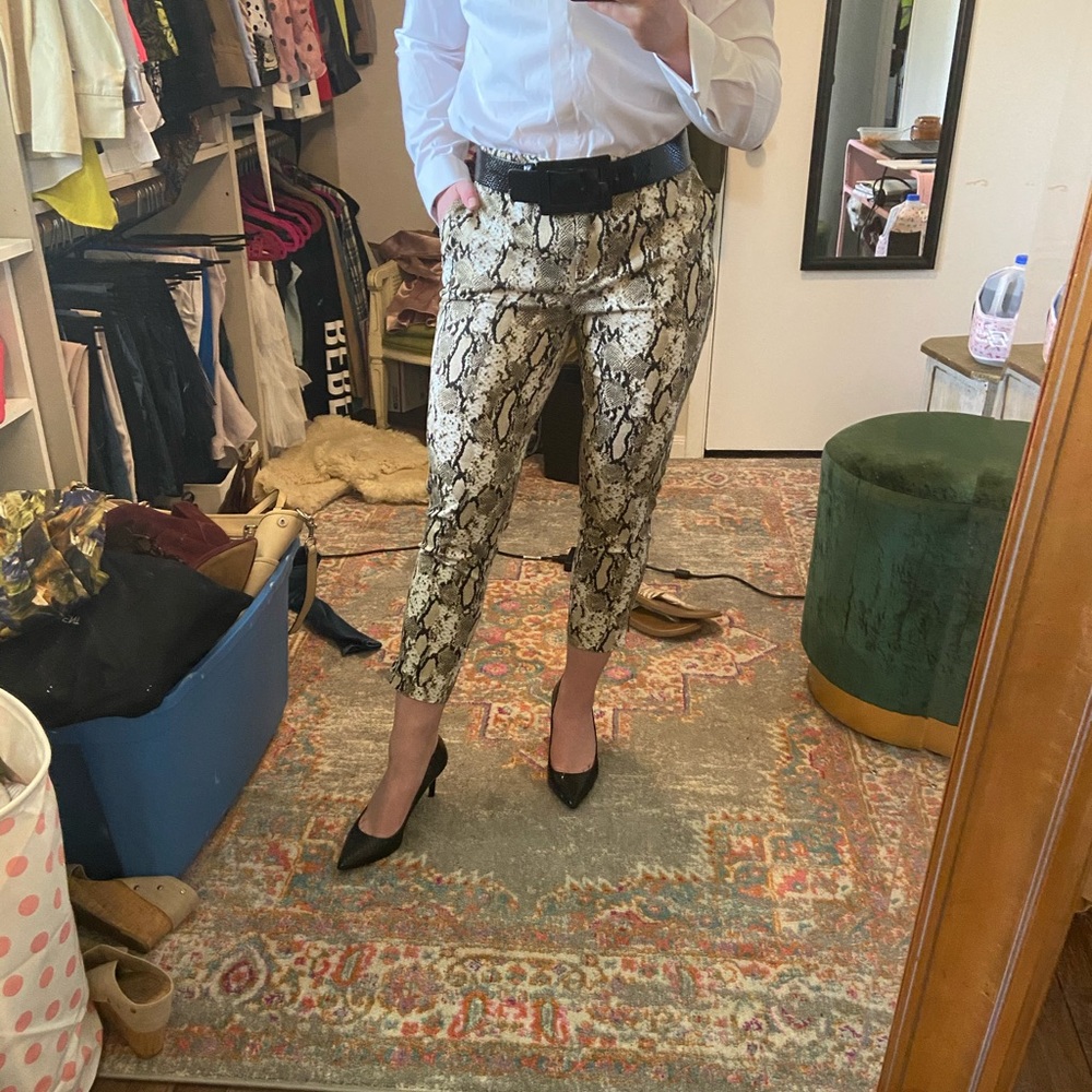 Jones New York Snake Pants